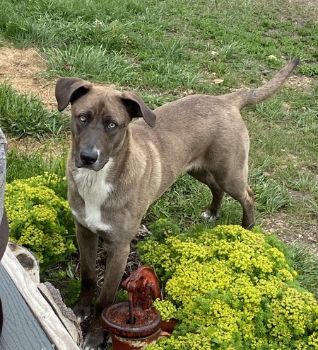 Entry image for Zeke. Clicking this image will show a larger photo