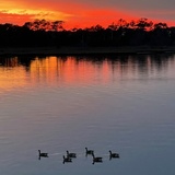 Entry image for Sunset on the Creek