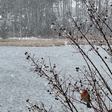 Entry image for Waiting Out the Snowstorm
