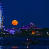 Entry image for Amusing Moon