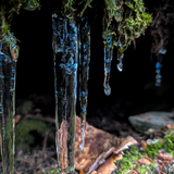 Entry image for Hidden Gems