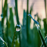 Entry image for Gentle Reflection 
