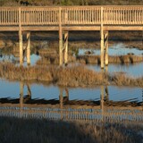 Entry image for Reflection of the Marsh