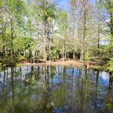 Entry image for The Calm in West Palm