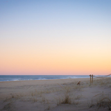Entry image for Fox on the Beach