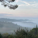 Entry image for Misty Morning in Montespertoli - Tuscany