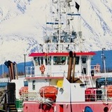 Entry image for Anchored in Glaciers