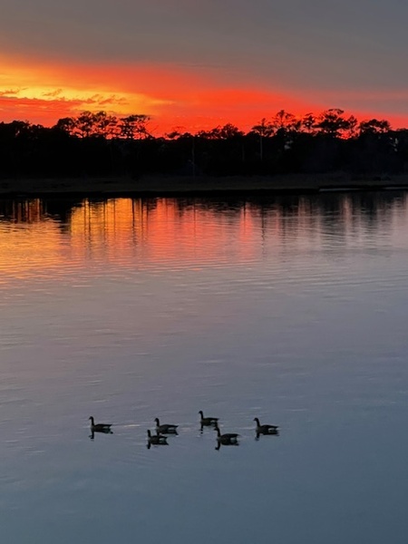 Entry image for Sunset on the Creek. Clicking this image will show a larger photo