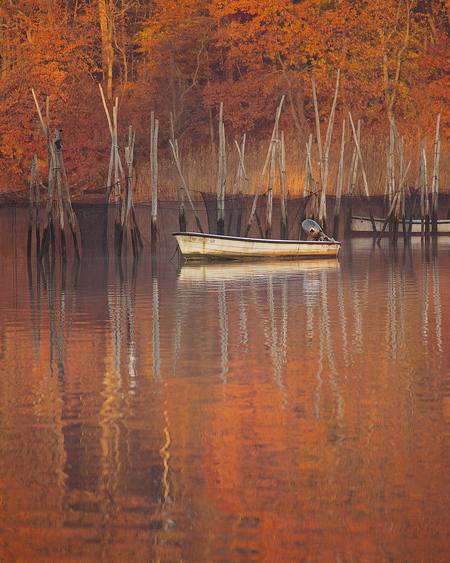 Entry image for Turners Creek, Upper Chesapeake. Clicking this image will show a larger photo