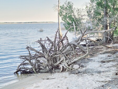 Entry image for Southern Sanity. Clicking this image will show a larger photo