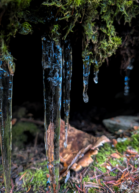 Entry image for Hidden Gems. Clicking this image will show a larger photo