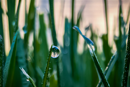 Entry image for Gentle Reflection . Clicking this image will show a larger photo
