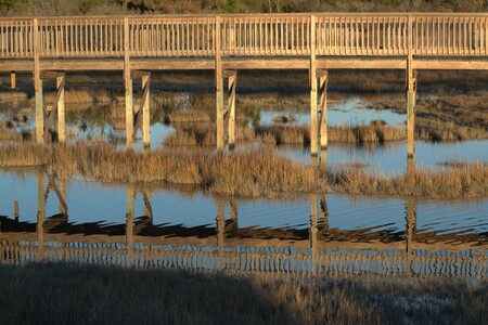 Entry image for Reflection of the Marsh. Clicking this image will show a larger photo