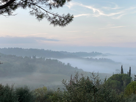 Entry image for Misty Morning in Montespertoli - Tuscany. Clicking this image will show a larger photo