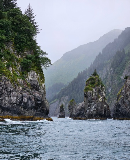 Entry image for Aialik Bay. Clicking this image will show a larger photo