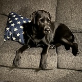 Entry image for Charlotte (Charlie)