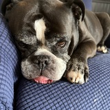 Entry image for Stormi