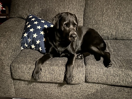 Entry image for Charlotte (Charlie). Clicking this image will show a larger photo