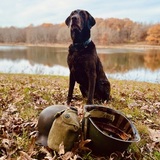 Entry image for Oscar