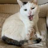 Entry image for Bridget