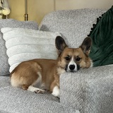 Entry image for Kobe