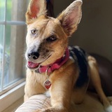 Entry image for Piper May