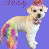 Entry image for Stacey Marie