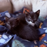 Entry image for Myla and Lilly