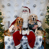 Entry image for Daisy and Drax