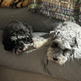 Entry image for Maddie and Duncan (Cousins)