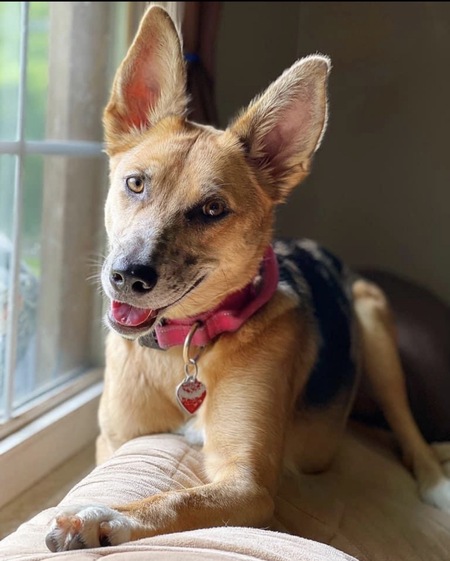 Entry image for Piper May. Clicking this image will show a larger photo