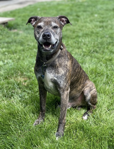 Entry image for Diesel . Clicking this image will show a larger photo