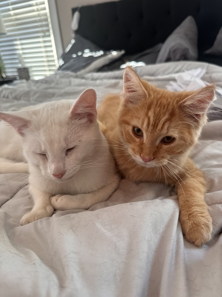 Entry image for Sissy and Mojo. Clicking this image will show a larger photo
