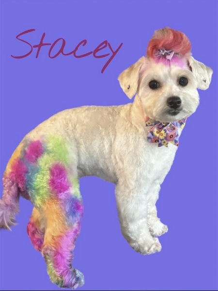 Entry image for Stacey Marie. Clicking this image will show a larger photo