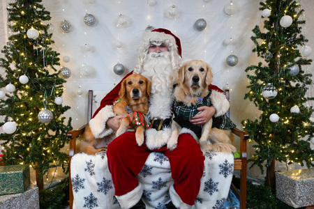 Entry image for Daisy and Drax. Clicking this image will show a larger photo