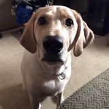 Entry image for Hope 