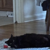 Entry image for Binx