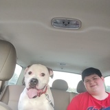 Entry image for Earbud