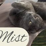 Entry image for Mist 