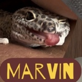 Entry image for Marvin