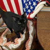 Entry image for Heather