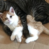 Entry image for William