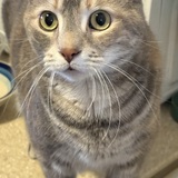 Entry image for Winnie