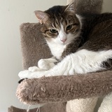 Entry image for Lucky