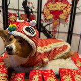 Entry image for Galileo