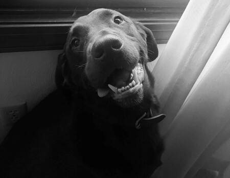 Entry image for Carter Irving . Clicking this image will show a larger photo