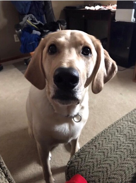 Entry image for Hope . Clicking this image will show a larger photo