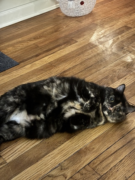 Entry image for Blair. Clicking this image will show a larger photo