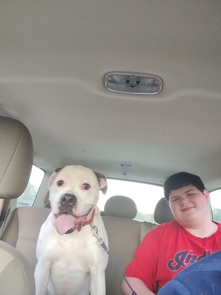 Entry image for Earbud. Clicking this image will show a larger photo