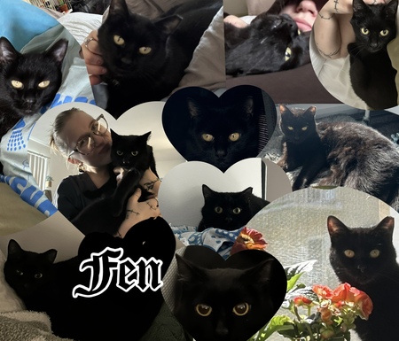 Entry image for Fen. Clicking this image will show a larger photo
